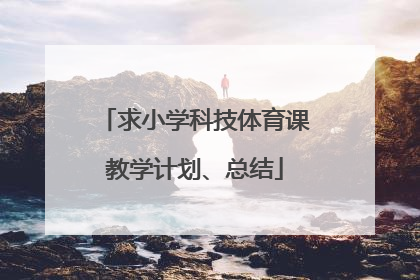 求小学科技体育课教学计划、总结