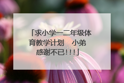 求小学一二年级体育教学计划 小弟感谢不已!!!