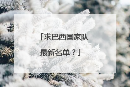 求巴西国家队最新名单？
