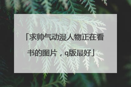 求帅气动漫人物正在看书的图片,q版最好