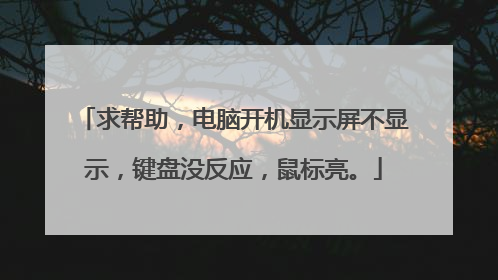 求帮助，电脑开机显示屏不显示，键盘没反应，鼠标亮。