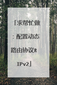 求帮忙做：配置动态路由协议RIPv2