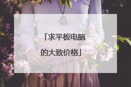 求平板电脑的大致价格