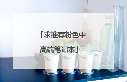 求推荐粉色中高端笔记本