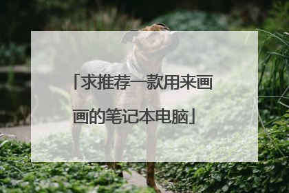 求推荐一款用来画画的笔记本电脑