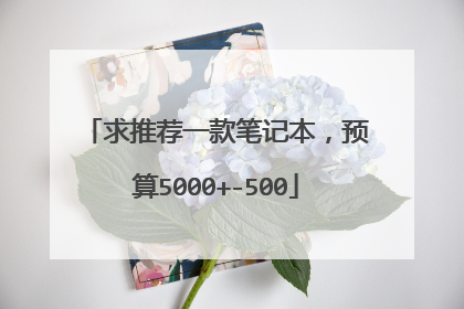 求推荐一款笔记本,预算5000+-500