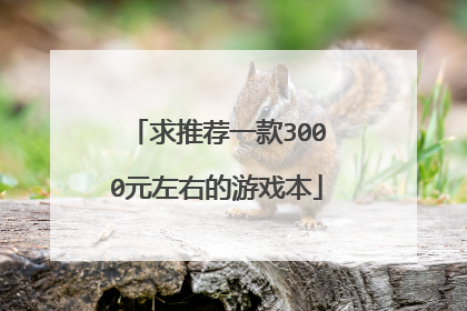 求推荐一款3000元左右的游戏本