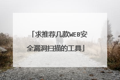 求推荐几款WEB安全漏洞扫描的工具