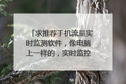 求推荐手机流量实时监测软件,像电脑上一样的,实时监控,看到网速就知道哪个软件用的