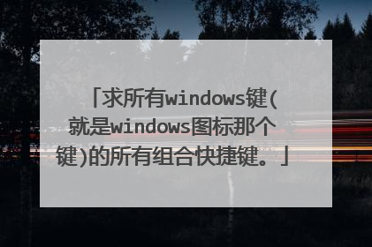 求所有windows键(就是windows图标那个键)的所有组合快捷键。