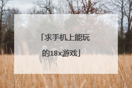 求手机上能玩的18x游戏