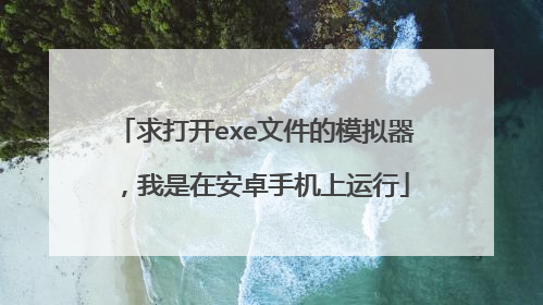 求打开exe文件的模拟器,我是在安卓手机上运行