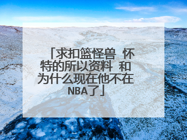 求扣篮怪兽 怀特的所以资料 和为什么现在他不在NBA了