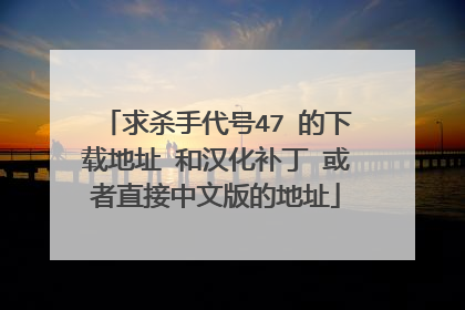 求杀手代号47 的下载地址 和汉化补丁 或者直接中文版的地址