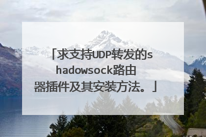 求支持UDP转发的shadowsock路由器插件及其安装方法。