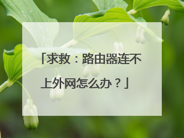 求救:路由器连不上外网怎么办?