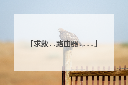 求救..路由器....