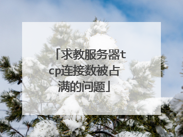 求教服务器tcp连接数被占满的问题