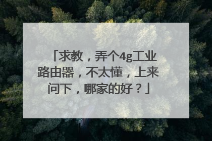 求教，弄个4g工业路由器，不太懂，上来问下，哪家的好？