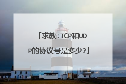 求教:TCP和UDP的协议号是多少?