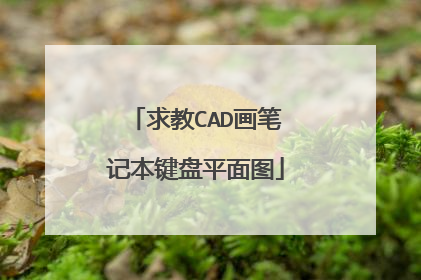 求教CAD画笔记本键盘平面图