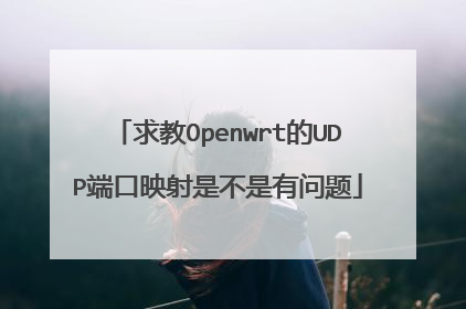 求教Openwrt的UDP端口映射是不是有问题