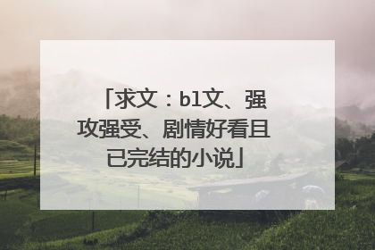 求文：bl文、强攻强受、剧情好看且已完结的小说