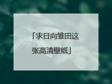 求日向雏田这张高清壁纸