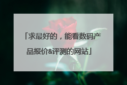 求最好的,能看数码产品报价&评测的网站