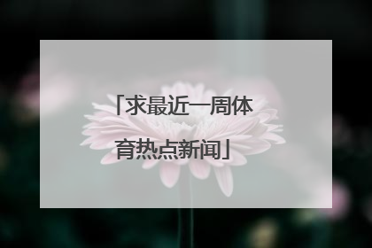 求最近一周体育热点新闻