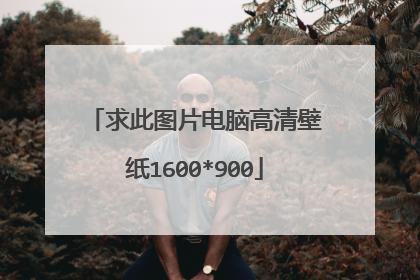 求此图片电脑高清壁纸1600*900