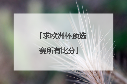 求欧洲杯预选赛所有比分
