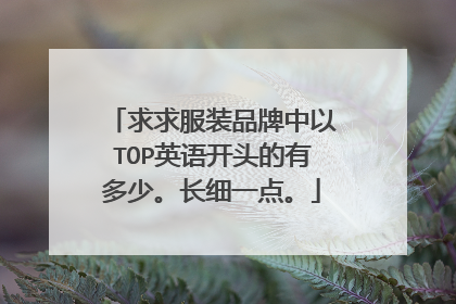 求求服装品牌中以TOP英语开头的有多少。长细一点。