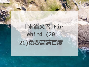 求浴火鸟 Firebird (2021)免费高清百度云资源尼古拉斯·伍德森 主演的