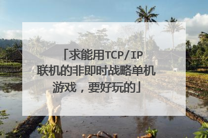 求能用TCP/IP联机的非即时战略单机游戏,要好玩的