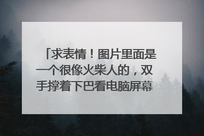 求表情!图片里面是一个很像火柴人的,双手撑着下巴看电脑屏幕,配图文字一般都是我在电脑面前是这样的