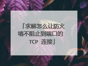 求解怎么让防火墙不阻止到端口的 TCP 连接