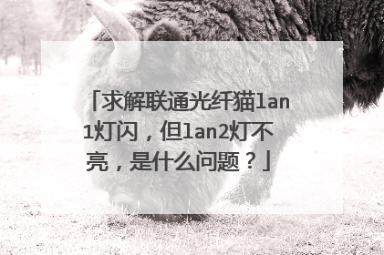求解联通光纤猫lan1灯闪,但lan2灯不亮,是什么问题?