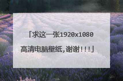 求这一张1920x1080高清电脑壁纸,谢谢!!!