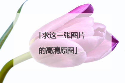 求这三张图片的高清原图