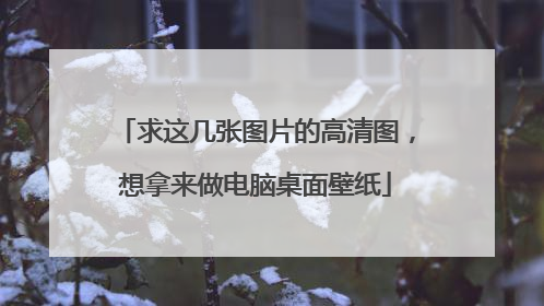 求这几张图片的高清图,想拿来做电脑桌面壁纸