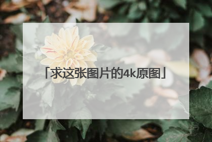 求这张图片的4k原图