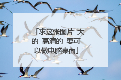 求这张图片 大的 高清的 要可以做电脑桌面
