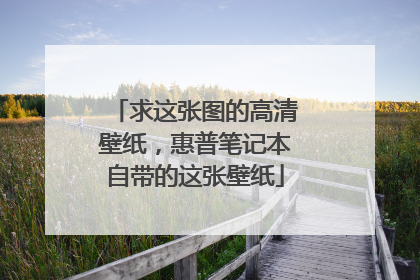 求这张图的高清壁纸，惠普笔记本自带的这张壁纸