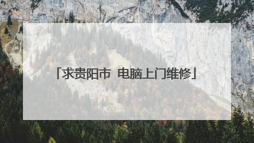 求贵阳市 电脑上门维修