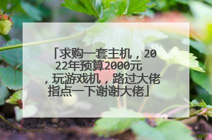 求购一套主机,2022年预算2000元,玩游戏机,路过大佬指点一下谢谢大佬