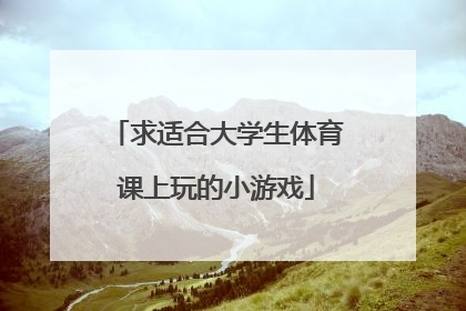 求适合大学生体育课上玩的小游戏