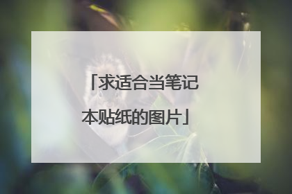 求适合当笔记本贴纸的图片