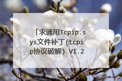 求通用Tcpip.sys文件补丁(tcpip协议破解) V1.2 绿色版网盘资源