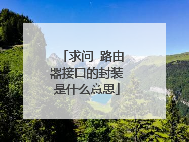 求问 路由器接口的封装是什么意思